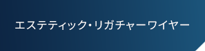 エステティック・リガチャーワイヤー 